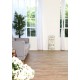 DEKO FLOORING  - Natural Wood Design