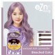 eZn Pudding Hair Colour (70ml)