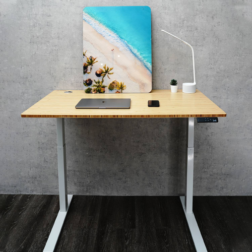 DEKO DESK Ver20th Electrical/Manual Standing Desk