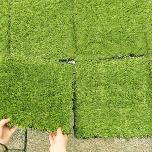 Artificial Grass Deck 