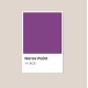 Eggplant - Korea All Cover Noroo Paint