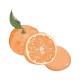 Juicy Orange - Korea All Cover Noroo Paint
