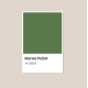 Spinach Green - Korea All Cover Noroo Paint