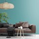 Spirulina - Korea All Cover Noroo Paint