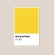 Yellow Kiwi - Korea All Cover Noroo Paint