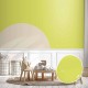 Lime Mojito - Korea All Cover Noroo Paint